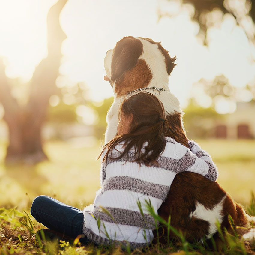 VIP pet delivery services Tampa